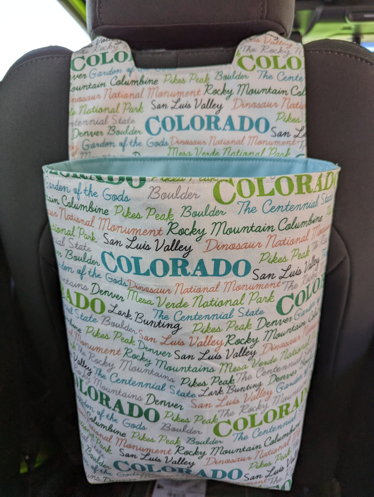 Car Trash Bag/Caddy